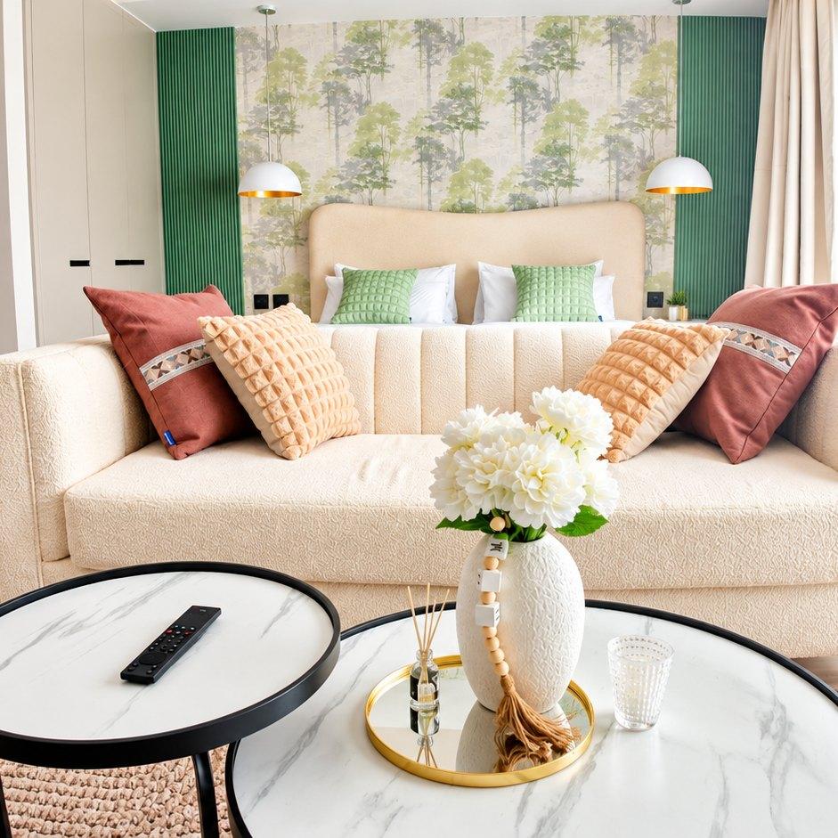 The sofa, with the bed behind it and the window to one side